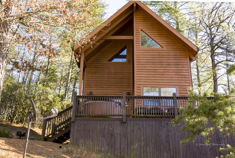 A Mountain Dream Cabin - Renee 0