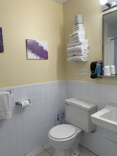 Abellona Inn & Suites - Renee 1