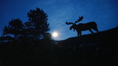 Alpine Moose Lodge - Renee 2