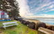 Alsea Bay Cottage - thumb 2