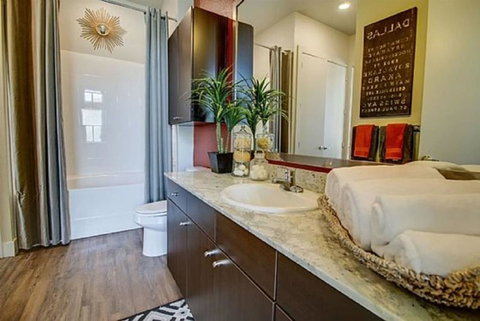 Apartment-Heart Of Dallas (51)5 - Renee 2