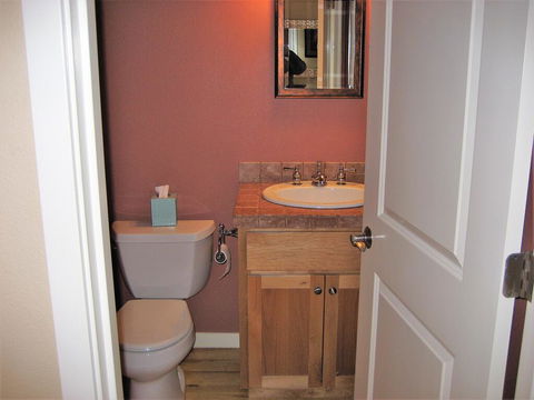 At Home On Cinnamon Teal - Renee 3