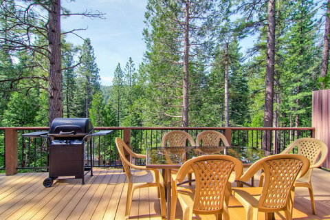 Bears Den & Little Bear - 5BR/3BA - Internet Find 3