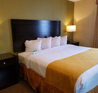 Best Western Watertown/Fort Drum