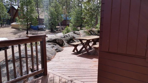 Bird House - Renee 2