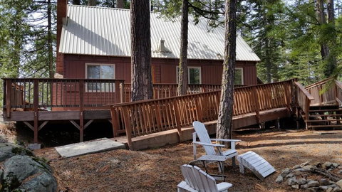 Bird House - Renee 0