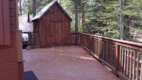 Bird House - Renee 3