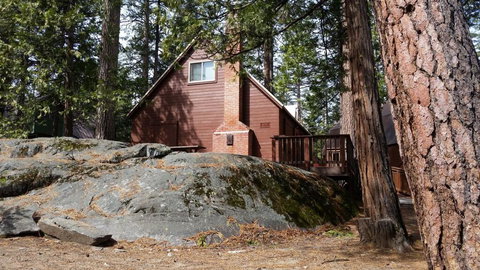 Bird House - Renee 1