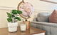 Bohemian Style, King Bed, Near Downtown Sacramento - thumb 1