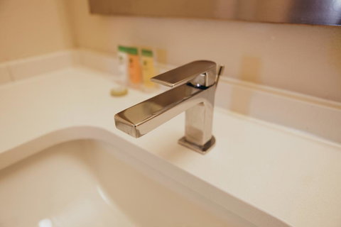 Budgetel Inn & Suites Memphis - Renee 3