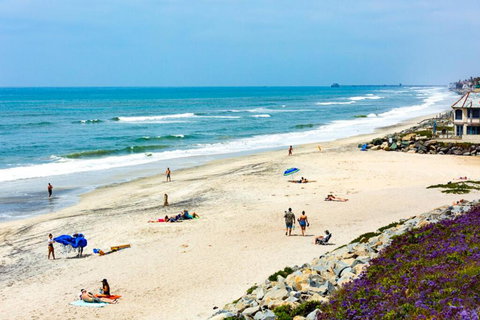 CB-244B Ocean Point Carlsbad Unit B - Renee 1