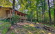 Cedar Mountain Log Cabin - 4 Mi DuPont State Forest - thumb 1