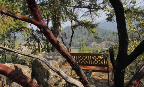 Coho Cottages - Renee 3