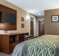Comfort Inn  Suites Pittsburgh