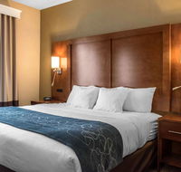 Comfort Suites Scranton near Montage Mountain