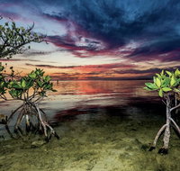 Conch Key Fishing Lodge  Marina