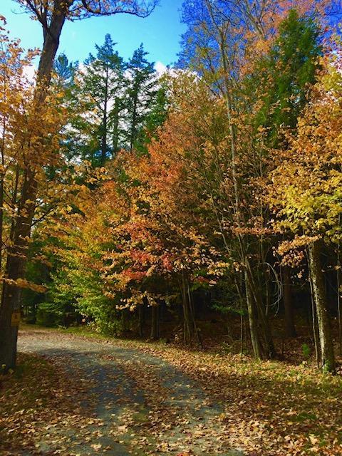 Cozy Artist Cottage - Renee 3