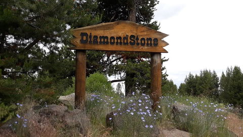 DiamondStone Guest Lodges - Renee 2