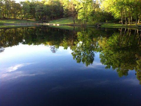 Dogwood Springs Lodgings - Renee 0