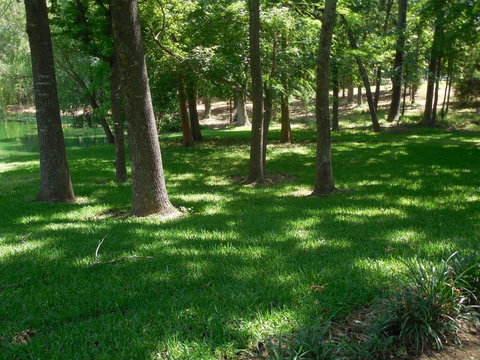 Dogwood Springs Lodgings - Renee 1