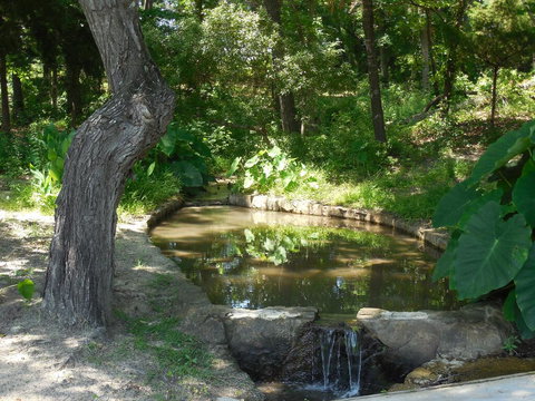 Dogwood Springs Lodgings - Renee 3