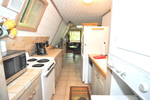 Dream Time - Renee 1