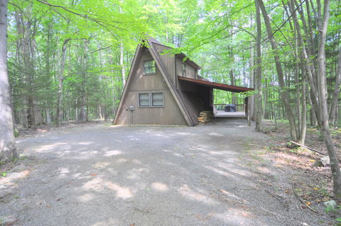 Dream Time - Renee 0