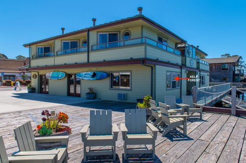 Estero Inn - Renee 1