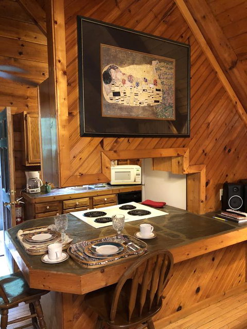 Gatlinburg Adventure Cabins - Renee 2