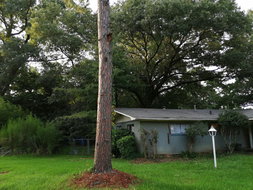 Book Jackson Accommodation Vacations Renee Renee