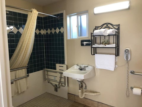 Holland Inn & Suites - Renee 2