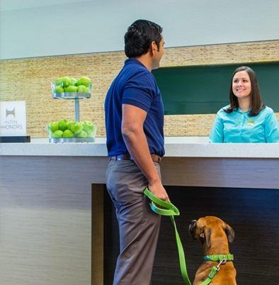 Home2 Suites By Hilton Lubbock - Renee 3