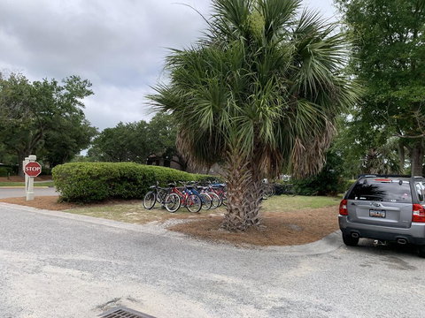 Last Mango Sailboat - Internet Find 1