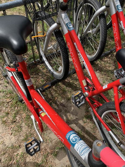 Last Mango Sailboat - Internet Find 3