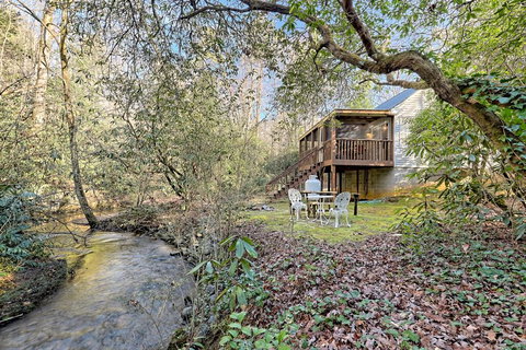 Laurel Creek - Swimm 1