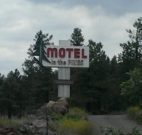 Motel In The Pines