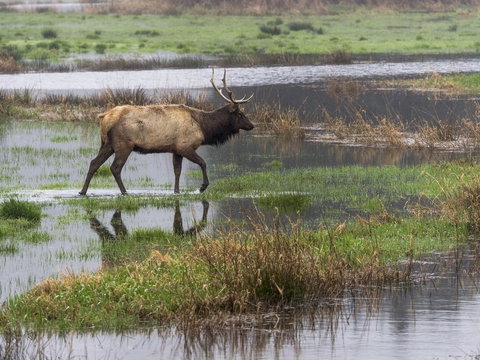 New Listing! Chateau Serenity W/ Decks, Firepit Home - Renee 2