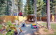 Paradise And Pines - thumb 3