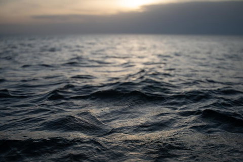 Peach Mansion - Renee 2