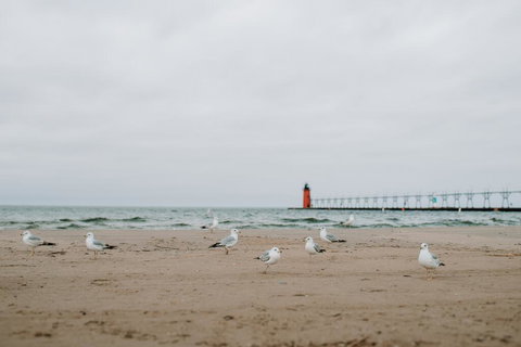 Peach Mansion - Renee 3