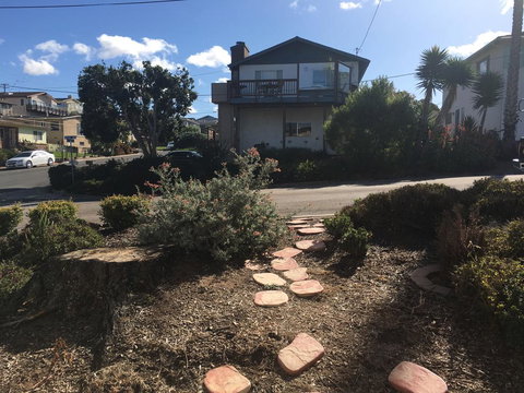 Pelican Place - Renee 2