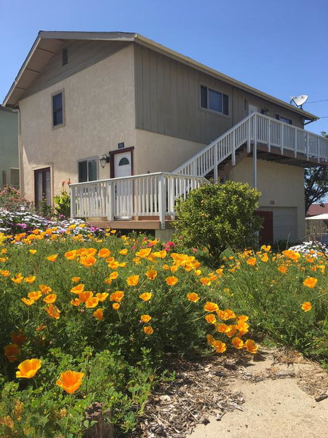 Pelican Place - Renee 1