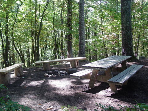 Pine Crest - Secluded On Knoll Top - Near Boone, NC & Blue Ridge Parkway - Renee 2