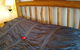 Ponderosa Motel - thumb 1
