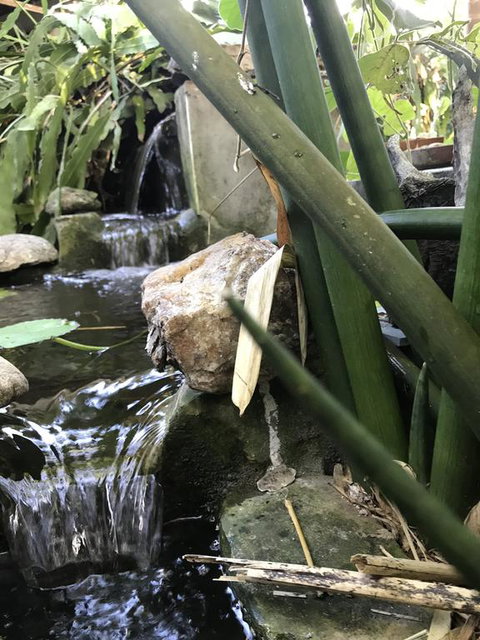 Ranch Il Sole - Renee 0