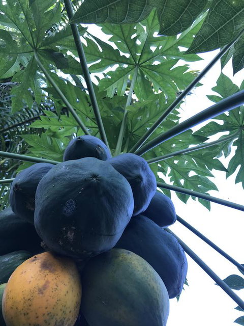 Ranch Il Sole - Renee 1