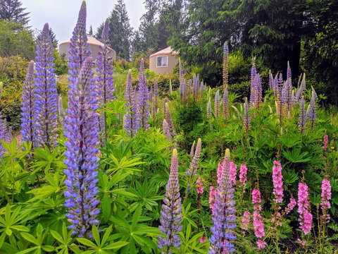 South Jetty Camping Resort Yurt 5 - Renee 2