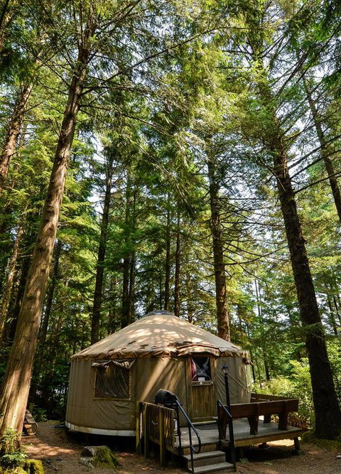 South Jetty Camping Resort Yurt 5 - Renee 3