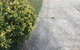SouthEast BNB - thumb 2