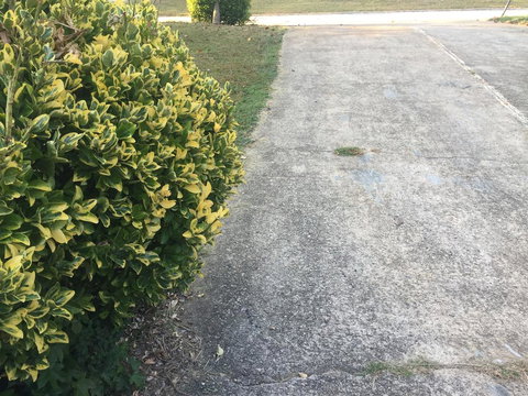 SouthEast BNB - Swimm 2